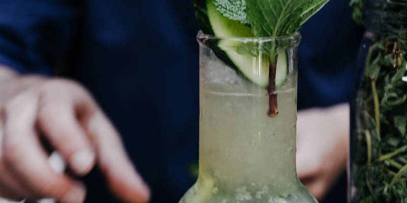 Botanist Cocktail With Mint and Cucumber Garnish