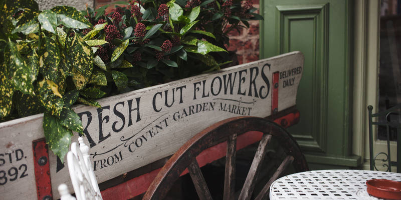 Fresh Cut Flower Display At The Botanist Knutsford